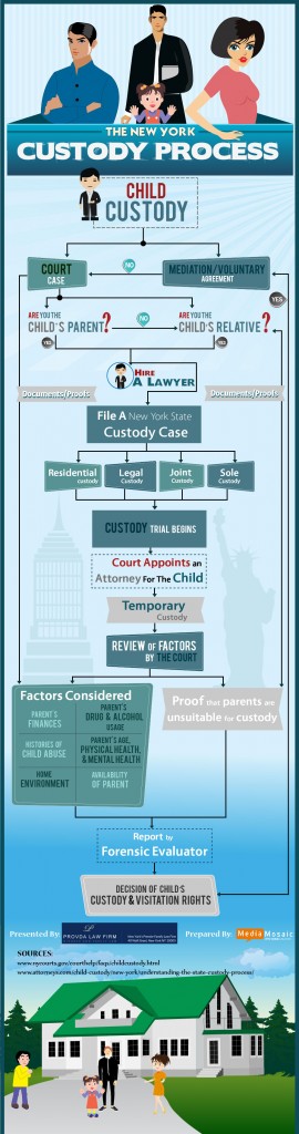 The New york Custody Process (Infographic)